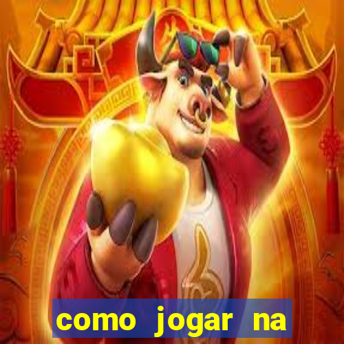 como jogar na seninha online